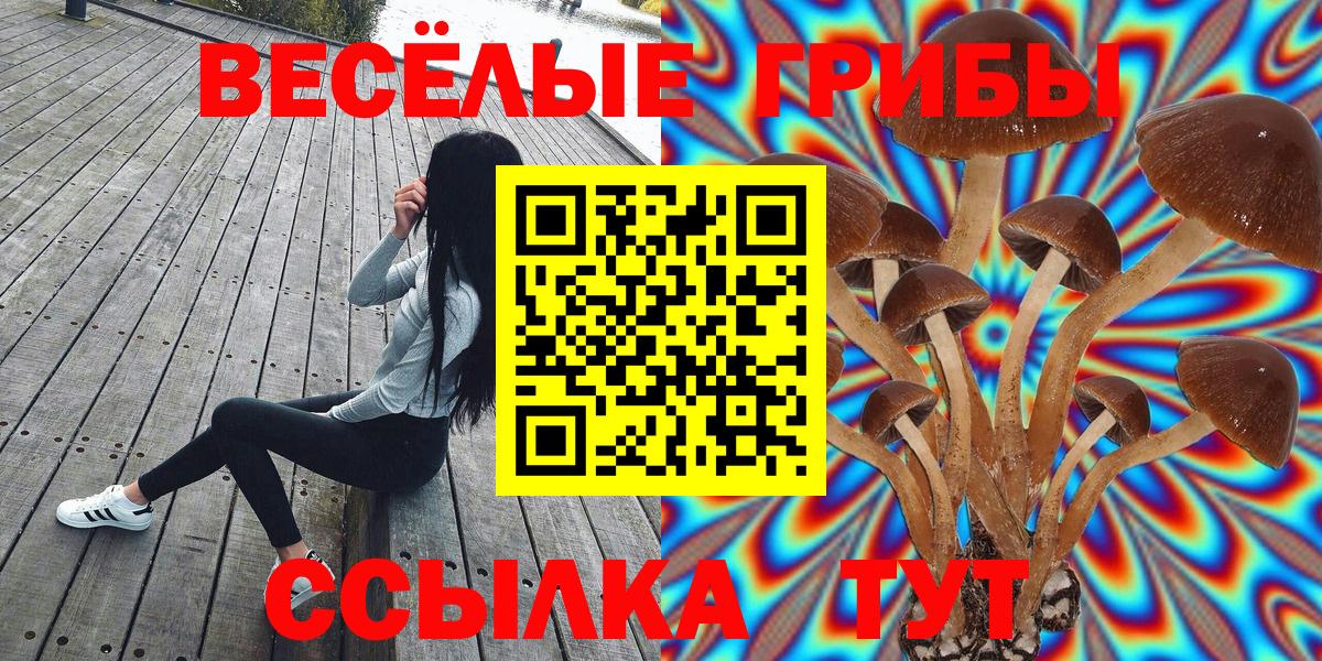 Печора  купить закладку  Вход с VPN  Псилоцибиновые грибы прущие грибы  Псилоцибиновые грибы мицелий 